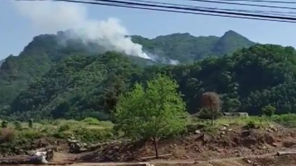 충북 단양 소백산국립공원 산불...0.1㏊ 소실 추정 / YTN