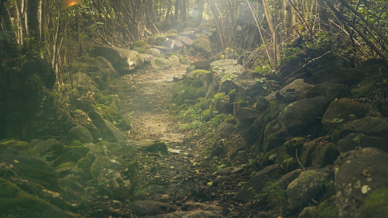 Niño de 4 años murió luego de que una roca le cayera encima