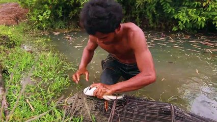 membuat kolam renang II primitif