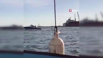 Son Dakika | Meksika'da sudan sıçrayan balina tekneye çarptı: 2 yaralı