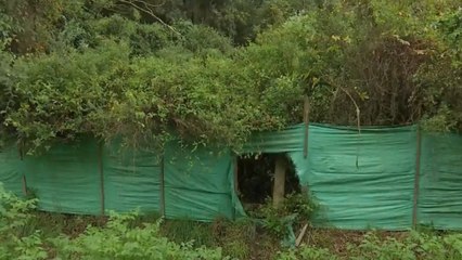 La peligrosa zona boscosa de Bogotá en la que ciclistas arriesgan su vida