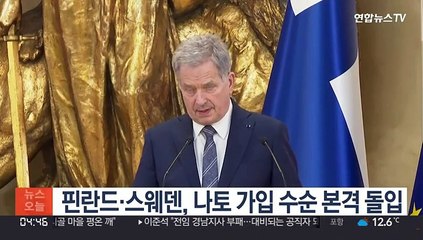 핀란드·스웨덴, NATO 가입 본격 돌입