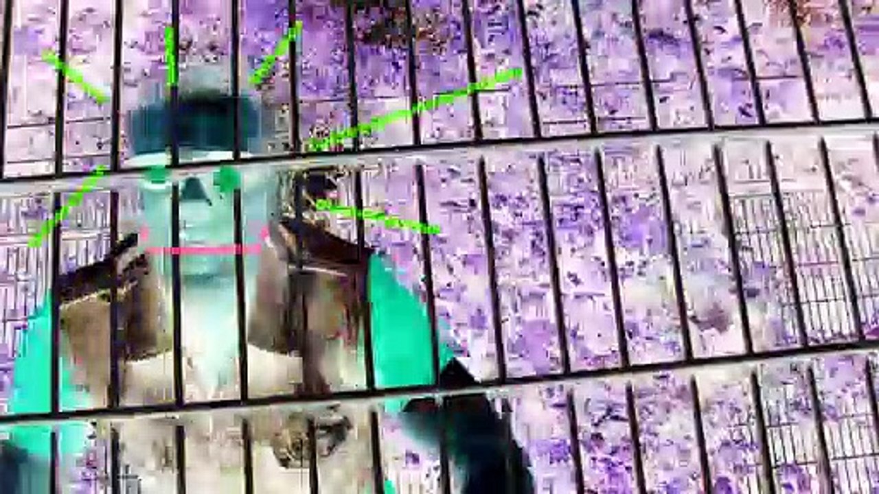 Matar-ungeniert-official-musicvideo_x264