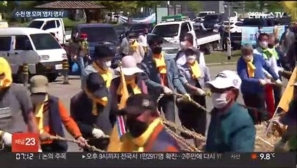 500년 역사 기지시줄다리기…3년만에 "영차, 영차"