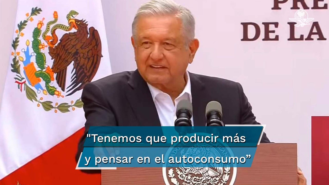 AMLO plantea utilizar Sembrando Vida para produ...