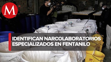 Cárteles llenan de 'narcolaboratorios' cuatro municipios de Michoacán