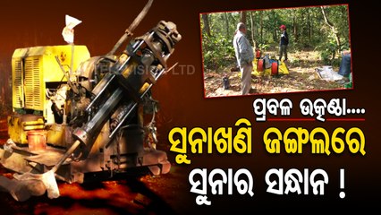 Gold mines in Sunakhani forest! Geological Survey of India’s survey on since 6months