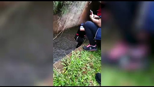 Grupo de bombeiros civis resgatam cachorrinho no Lago