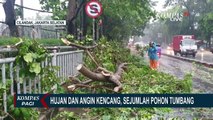 Hujan Deras Disertai Angin Kencang, Pohon Tumbang Timpa Kendaraan Hingga Menutup Sejumlah Ruas Jalan