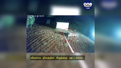 தருமபுரி: விவசாய நிலத்தில் சிறுத்தை அட்டகாசம்...பகீர் சிசிடிவி காட்சி!
