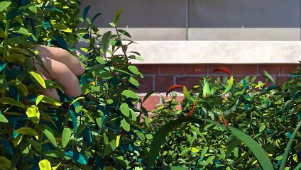 Animation Cartoon 2022 SEASION # 14