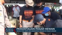 Cegah PMK DKP3 Cek Kesehatan Hewan Di Pasar Hewan