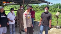 Ratusan Hewan Ternak Di Bangka Terkena Wabah Pmk, Kapolda Babel Lakukan Langkah Cepat.