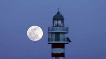 Blood Moon: Star gazers wowed by total lunar eclipse in Spain