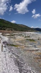 Salda Gölü'nde, sondaj ve kuraklık bataklık oluşturdu