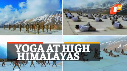 WATCH | ITBP Performs Yoga At 15000 Ft In Himalayas
