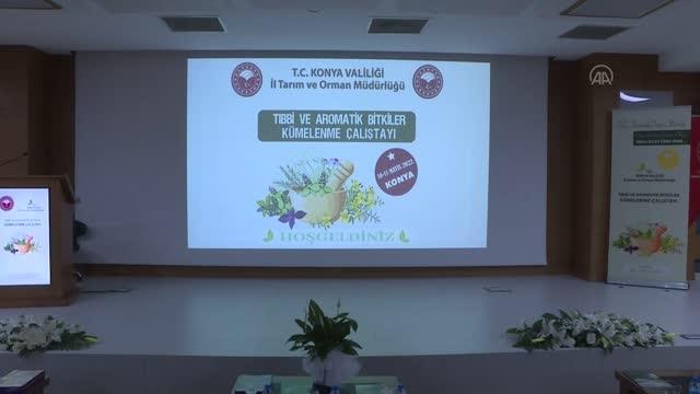 Türkiye'de tıbbi, aromatik bitki üretimi ve ihracatı artıyor