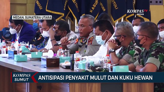 Antisipasi PMK di Sumatera Utara, Pemprov Sumut Ambil Sejumlah Langkah