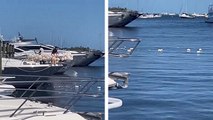 Ils jettent les ballons de baudruche dans l'eau après une fête sur un yatch