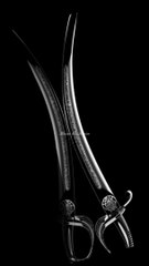 The Prophet's (pbuh) mosque, Dome of the Rock, the portrait of the Ka'ba & the Replica of Zulfiqar.