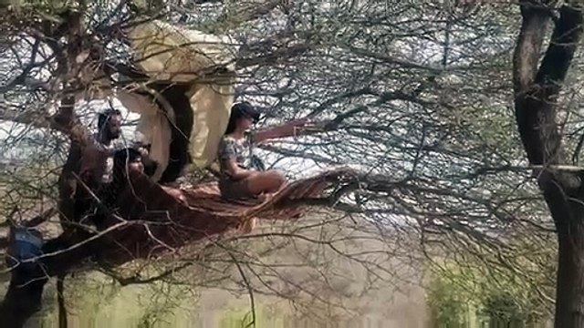 वन्यजीव गणना शुरू