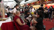 ویدیویی از صف تبرک حیوانات خانگی بوداییان در معبدی در سنگاپور