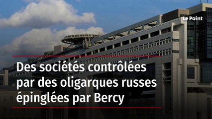 Des sociétés contrôlées par des oligarques russes épinglées par Bercy