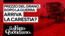 Aumenta il prezzo del grano: dopo la guerra arriva la carestia? Segui la diretta con Peter Gomez