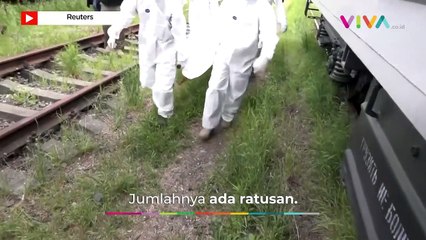 Momen Ratusan Mayat Tentara Rusia Siap Pulang ke Keluarganya