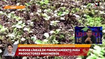 Nuevas líneas de financiamiento para productores misioneros