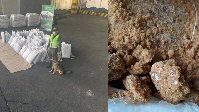 Desmantelan red que traficaba cocaína a nivel mundial: 7 colombianos capturados