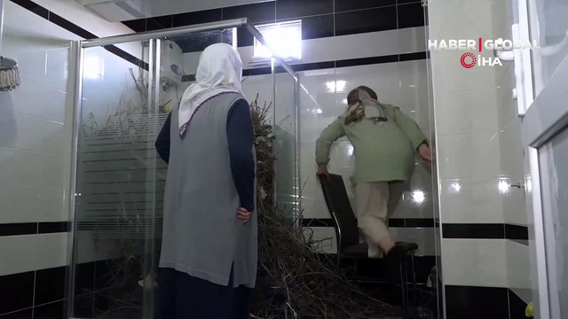 Şaşkına çeviren olay! Bu evi bu hale kargalar getirdi