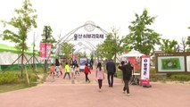 [울산] 울산, 쇠부리 축제·국가정원 봄꽃 축제 열려 / YTN