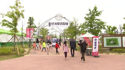 [울산] 울산, 쇠부리 축제·국가정원 봄꽃 축제 열려 / YTN