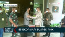 Ratusan Ekor Sapi di Kabupaten Malang Suspek PMK, Bupati Terbitkan SE Untuk Pembatasan Mobilitas
