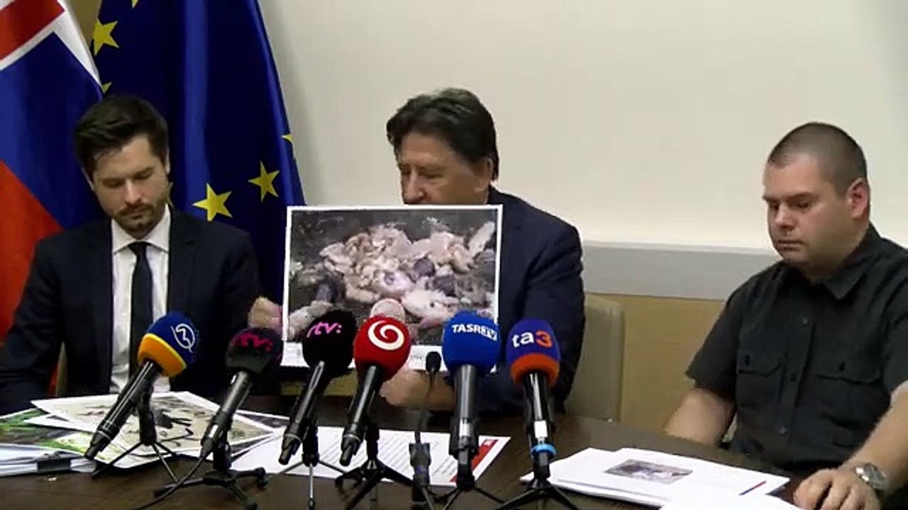 ZÁZNAM: Envirorezort chce zlepšiť situáciu so stretmi ľudí s medveďmi