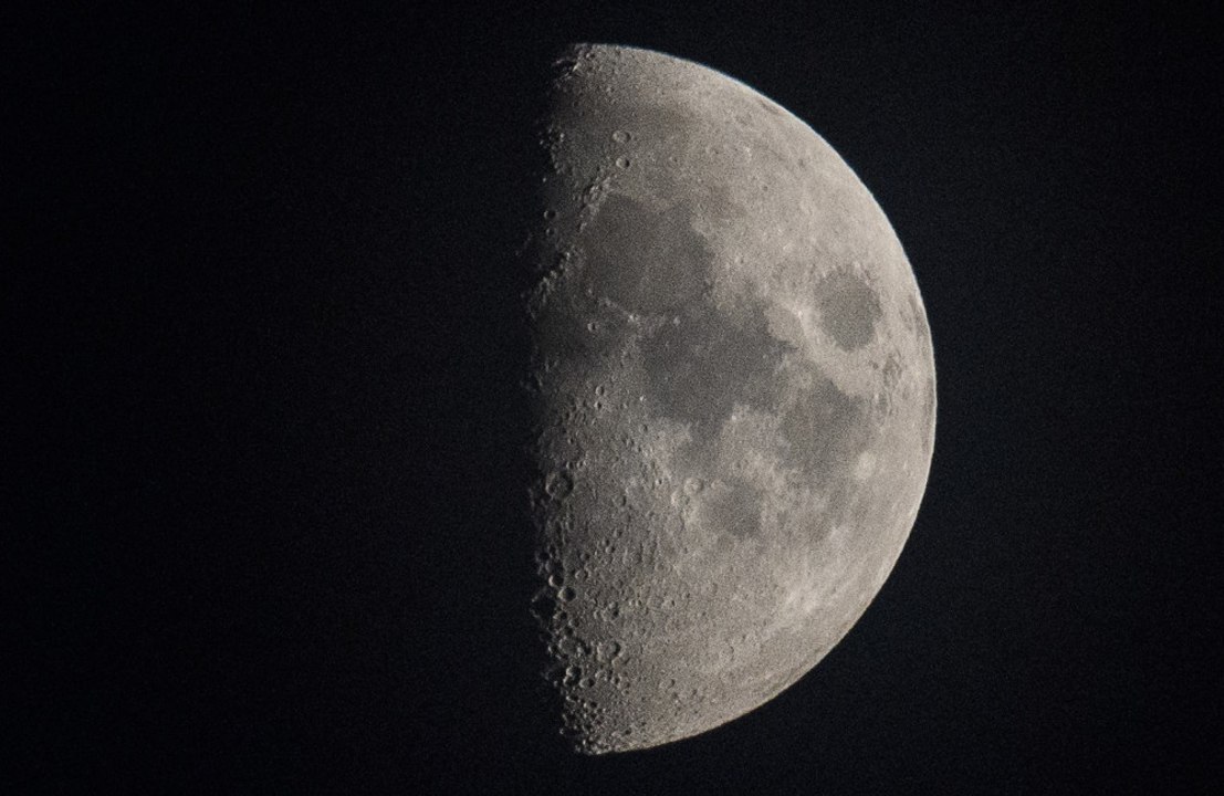 Pesquisadores cultivam plantas em solo lunar pela primeira vez na história