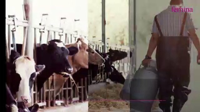 Supermarché : après l’huile de tournesol et la moutarde, cet ingrédient adoré des Français est, lui aussi, menacé de pénurie