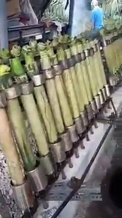 Trik masak di bambu