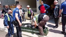 Samsun'da korkutan olay: Banyoda ölü bulundu