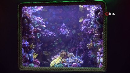 Trabzon'da açılacak: Dünyada sadece burada olacak