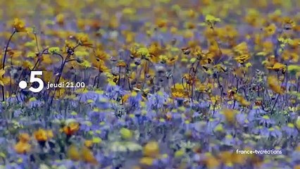 L’abominable mystère des fleurs - 19 mai