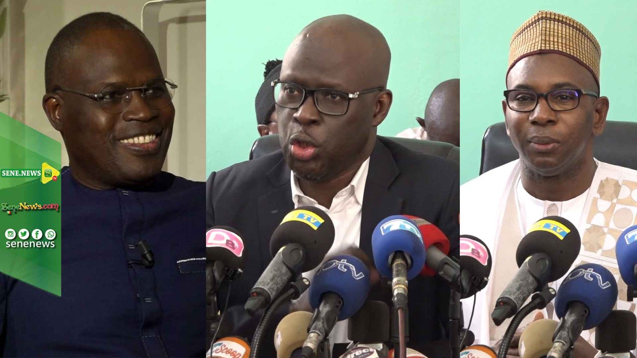 Accusé par ses pairs leaders : la jeunesse khalifiste se signale