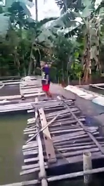 Ce garçon va détester les chats pour longtemps