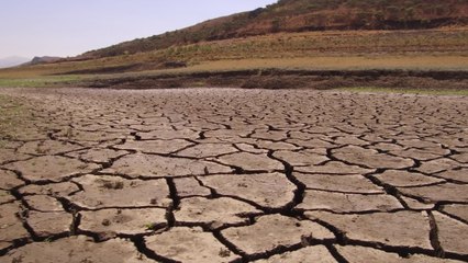 Catastrophe naturelle : la sécheresse en chiffres