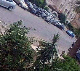 حادث دعس مفتعل في عمان.. والأمن يحذر