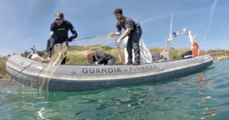 Pescara, sommozzatori sequestrano 300 metri di reti da pesca di frodo (16.05.22)