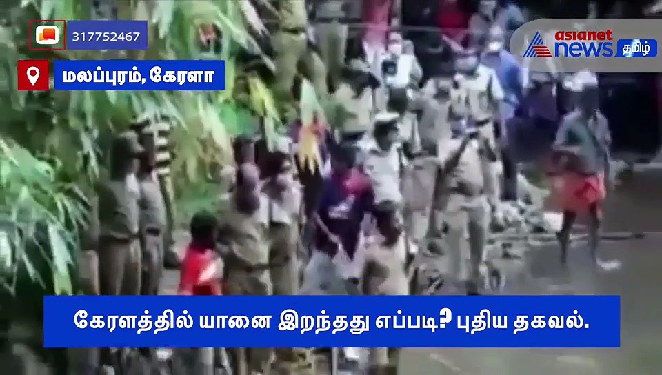 அதிரவைக்கும் திருப்பங்கள்.. கர்ப்பிணி யானை இறப்பில் புதிய தகவல்கள்..! வீடியோ