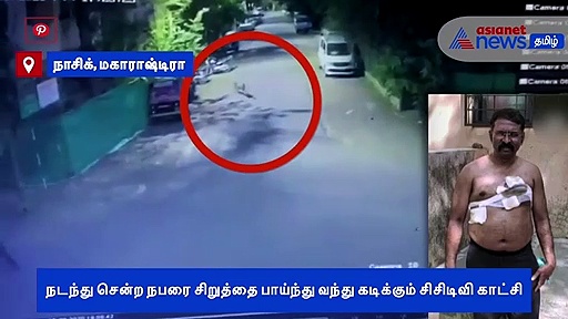 பாய்ந்து வந்து கடித்த சிறுத்தையின் சிசிடிவி காட்சி..! மிரளவைக்கும் வீடியோ..