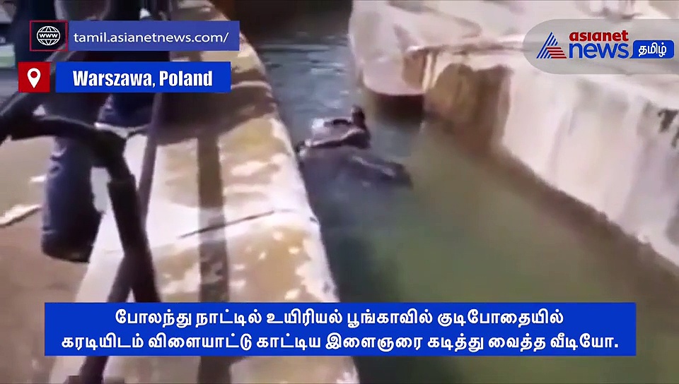 குடிபோதையில் தண்ணி காட்டிய இளைஞர்.. சமயம் பார்த்து கடித்து குதறிய கரடி..! வீடியோ